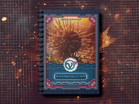 دسترسیهای سایر موارد مرتبط به توسعه(مشتریان عمومی)